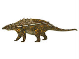 Gargoyleosaurus Side Profile