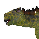 Huayangosaurus Dinosaur Head