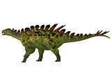 Huayangosaurus Side Profile