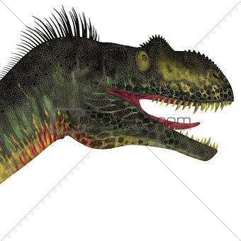 Megalosaurus Dinosaur Head
