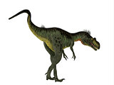 Megalosaurus Dinosaur Tail