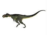 Megalosaurus Side profile