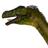 Ornitholestes Dinosaur Head