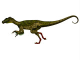 Ornitholestes Side Profile