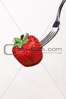 Strawberry In Chocolate