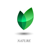 Green leaves logo.