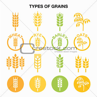 Types of grains, cereals icons - wheat, rye, barley, oats