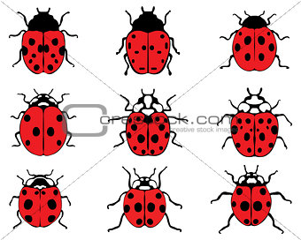 red ladybugs 9