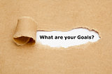 What Are Your Goals Torn Paper