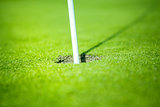 golf hole on green
