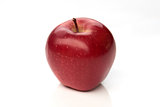 Beautiful red apple on white