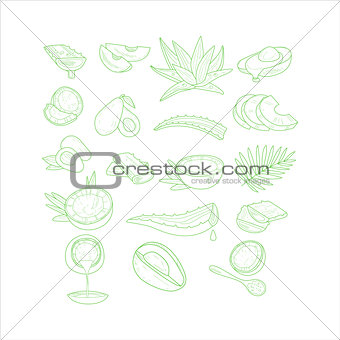 Aloe, Avocado and Coconut Vector Illustration Set