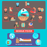 Dengue Fever Infographics. Vector Illustration.