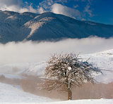 Winter Carpathian mountains