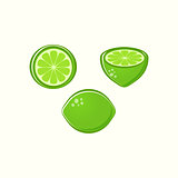 Vector lime illustrations