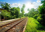 Railroad in Sri Lanka