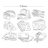 Types of Cheese. Handdrawn Set