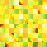 Seamless background with sunflower patterns