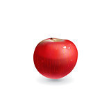 Red apple. Vector