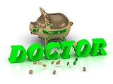 DOCTOR- inscription of green letters and gold Piggy 