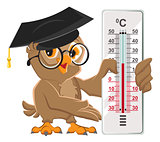 Owl teacher holding thermometer. Indoor thermometer Celsius