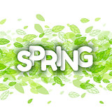 White spring sign over green leaves