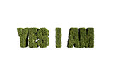 word made with grass