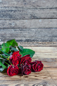 Lovely rose flowers