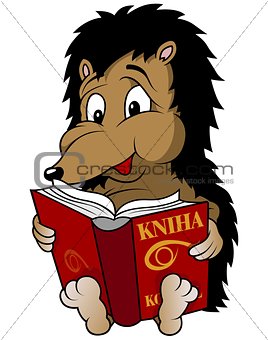 Hedgehog And Book