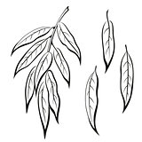 Willow Leaves, Pictogram Set
