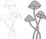 vector mushrooms toadstool