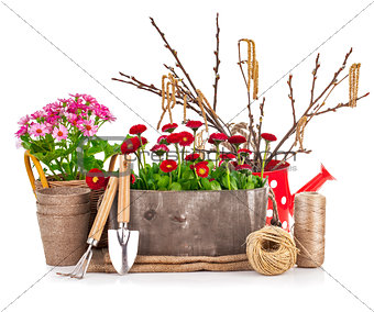 Spring flowers in wooden bucket with garden tools