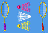 Equipment for the badminton