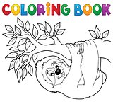 Coloring book sloth on branch
