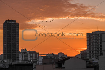 Sunrise - Rio de Janeiro