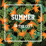 Tropical Background with Summer in the City Lettering