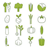 Simple Vegetable Set. Handdrawn Illustration