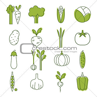 Simple Vegetable Set. Handdrawn Illustration