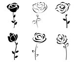 Six roses silhoutte