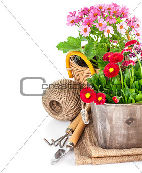Garden flowers in wooden basket with garden tools