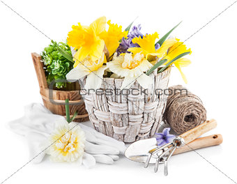 Spring flowers in basket with garden tools