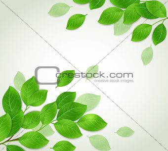 Background with green branch