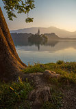 Island with Church in Bled Lake, Slovenia at Sunrise