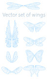 Vector butterfly wings set