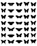 silhouettes of butterflies