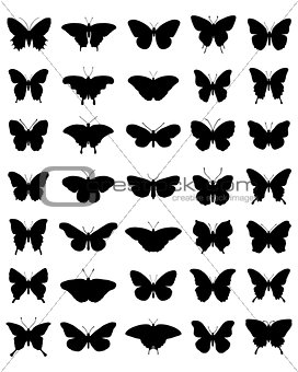 silhouettes of butterflies