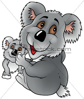 Koala And Cub