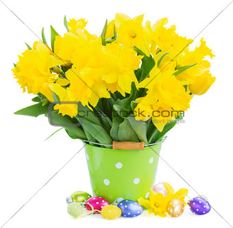 yellow spring narcissus
