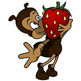 Ant Holding Strawberry