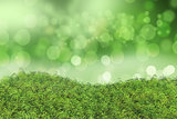 Green grass on a bokeh lights background
